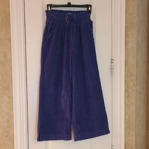 Zara Purple Corduroy Pants With Pockets And Ankle Slits Size 13-14